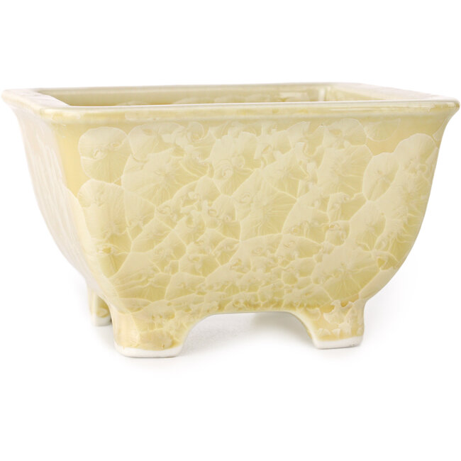 Square beige bonsai pot by Heian Kosen - 133 x 133 x 80 mm