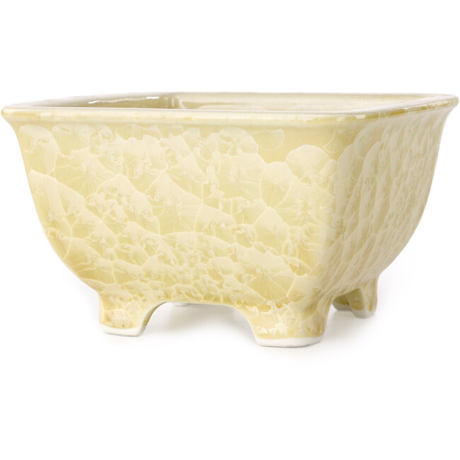 Square beige bonsai pot by Heian Kosen - 133 x 133 x 80 mm