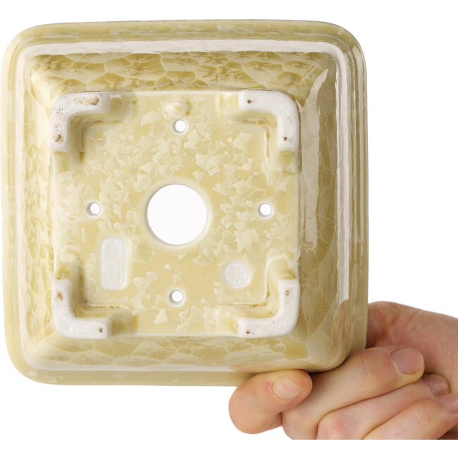 Square beige bonsai pot by Heian Kosen - 133 x 133 x 80 mm