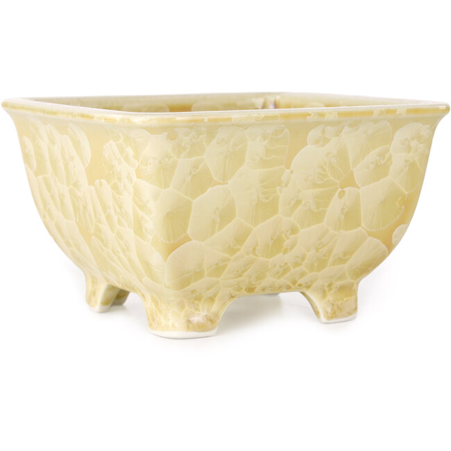 Square beige bonsai pot by Heian Kosen - 133 x 133 x 80 mm