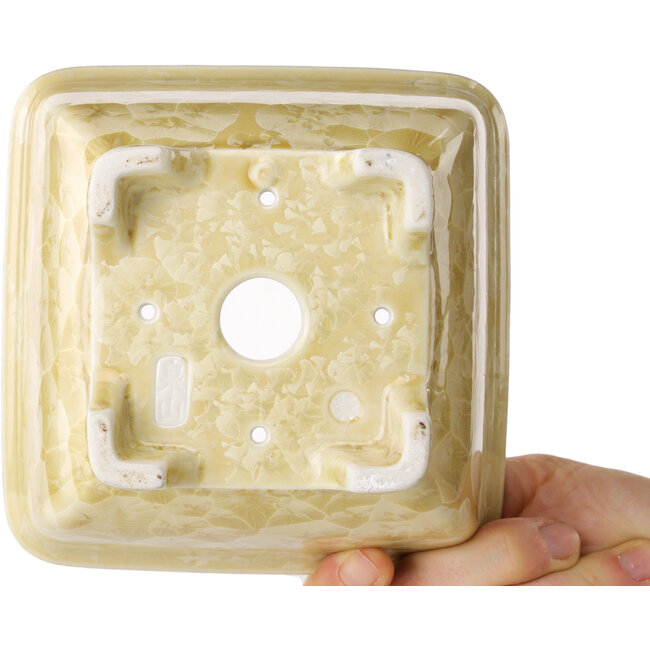Pot à bonsaï carré beige de Heian Kosen - 133 x 133 x 80 mm