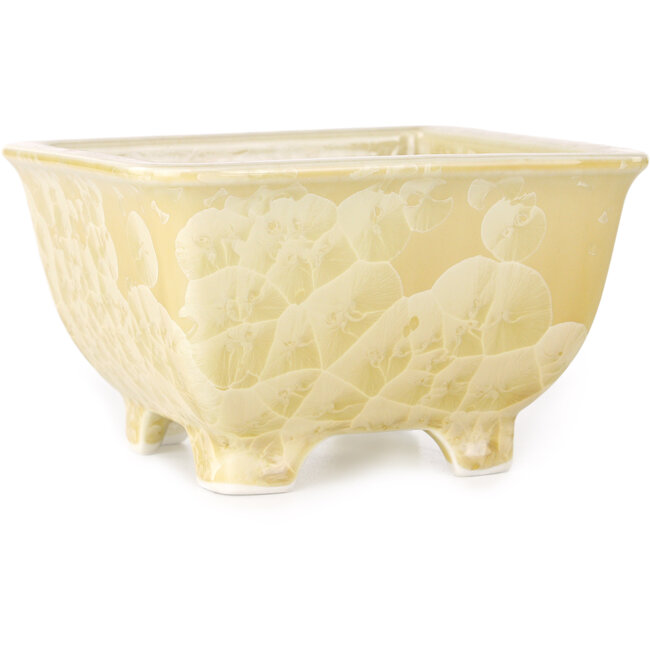 Square beige bonsai pot by Heian Kosen - 133 x 133 x 80 mm