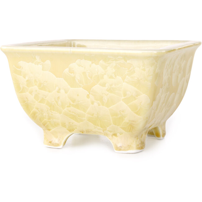 Square beige bonsai pot by Heian Kosen - 133 x 133 x 80 mm