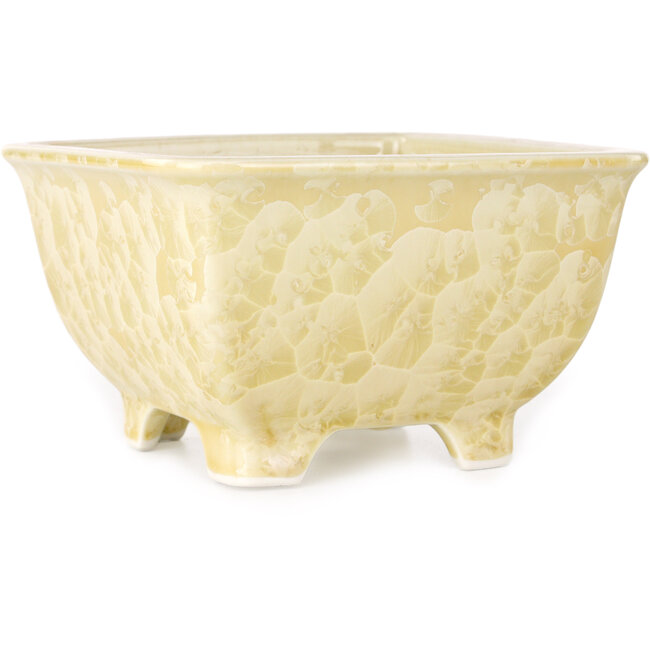 Vaso bonsai quadrato beige di Heian Kosen - 133 x 133 x 80 mm