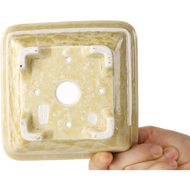 Pot à bonsaï carré beige de Heian Kosen - 133 x 133 x 80 mm