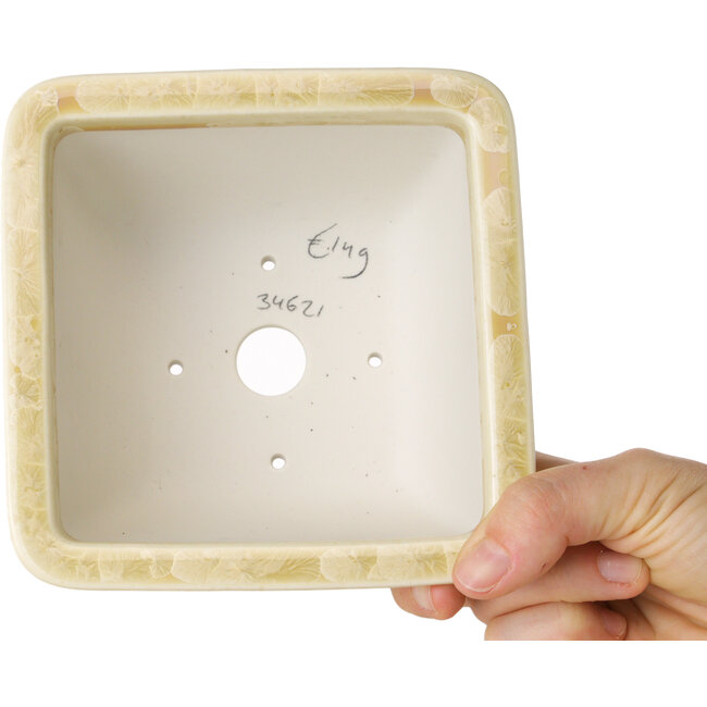 Square beige bonsai pot by Heian Kosen - 133 x 133 x 80 mm