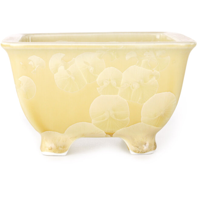 Square beige bonsai pot by Heian Kosen - 133 x 133 x 80 mm