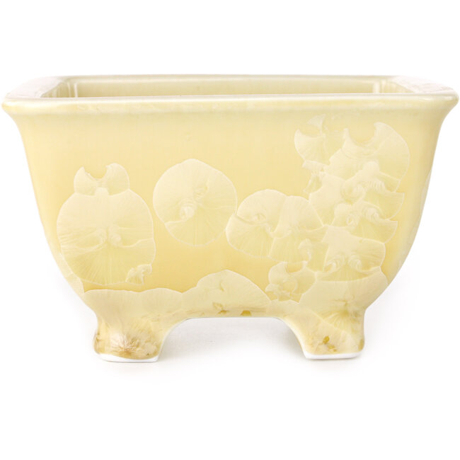 Square beige bonsai pot by Heian Kosen - 133 x 133 x 80 mm