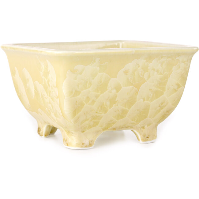 Square beige bonsai pot by Heian Kosen - 133 x 133 x 80 mm