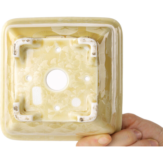 Square beige bonsai pot by Heian Kosen - 133 x 133 x 80 mm