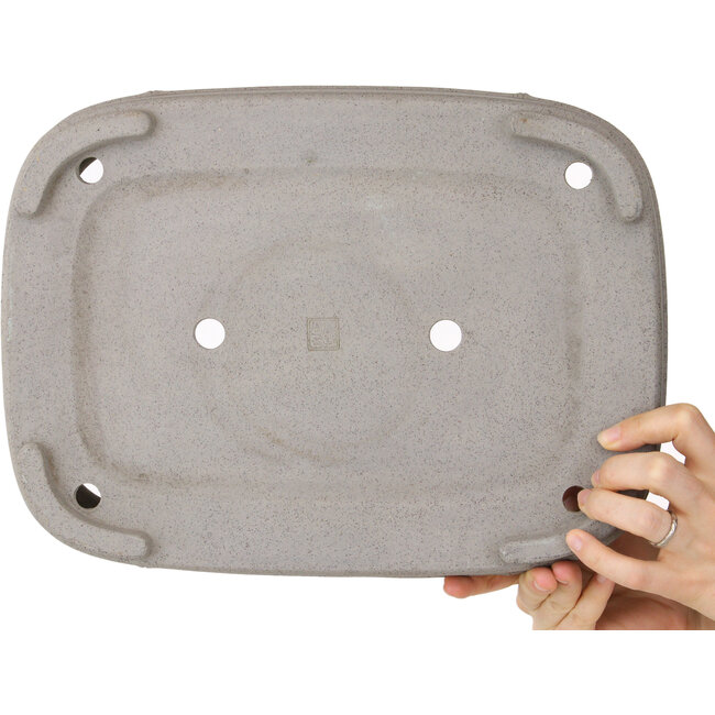 Maceta ovalada sin esmaltar para bonsái de Seibun - 352 x 252 x 85 mm