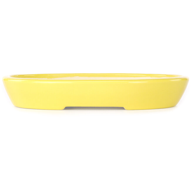 Ovaler gelber Bonsaitopf von Juko Koyou – 250 x 205 x 40 mm