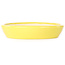 Ovaler gelber Bonsaitopf von Juko Koyou – 250 x 205 x 40 mm