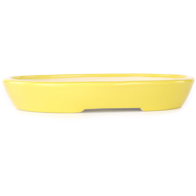 Oval yellow bonsai pot by Juko Koyou - 250 x 205 x 40 mm