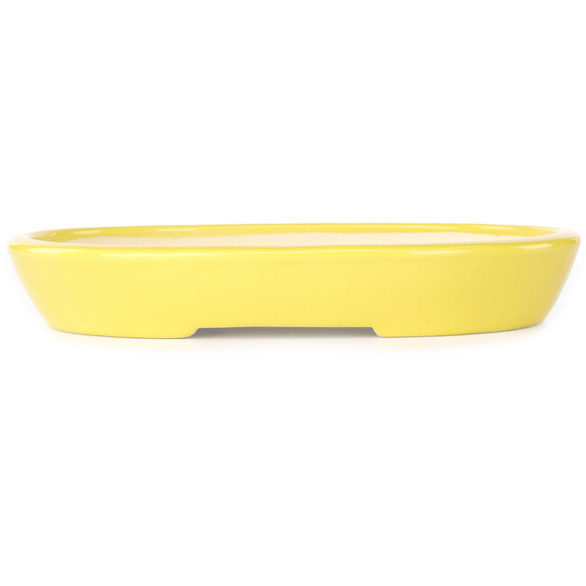 Oval yellow bonsai pot by Juko Koyou - 250 x 205 x 40 mm