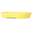 Ovaler gelber Bonsaitopf von Juko Koyou – 250 x 205 x 40 mm