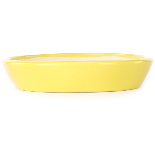 Ovale gele bonsaipot van Juko Koyou - 250 x 205 x 40 mm