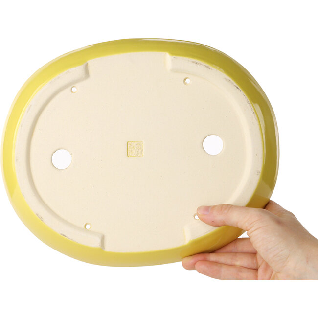 Ovaler gelber Bonsaitopf von Juko Koyou – 250 x 205 x 40 mm