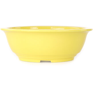 Koyou 240 mm  yellow bonsai pot by Juko Koyou, Tokoname, Japan