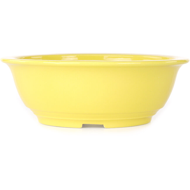 Round yellow bonsai pot by Juko Koyou - 240 x 240 x 80 mm