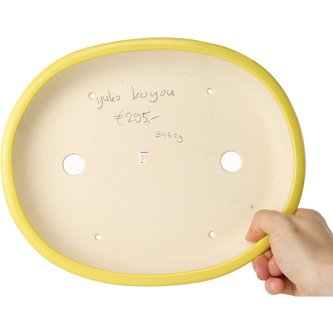 Pot à bonsaï ovale jaune par Juko Koyou - 250 x 205 x 40 mm