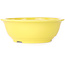 Round yellow bonsai pot by Juko Koyou - 240 x 240 x 80 mm