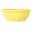 Round yellow bonsai pot by Juko Koyou - 240 x 240 x 80 mm