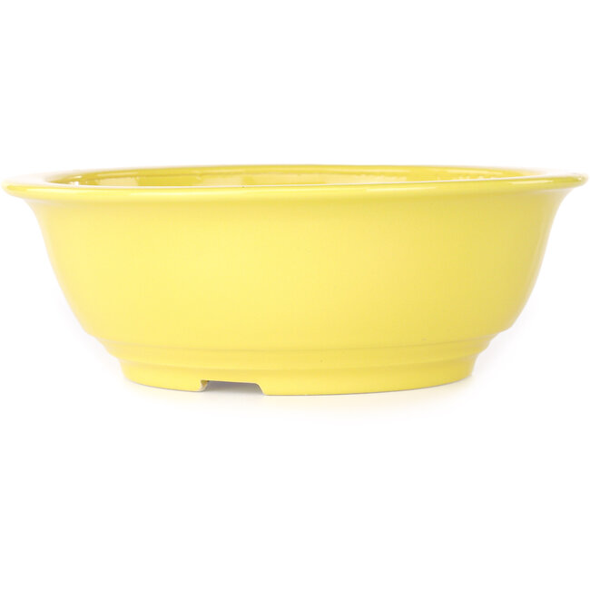 Vaso bonsai rotondo giallo di Juko Koyou - 240 x 240 x 80 mm