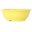 Round yellow bonsai pot by Juko Koyou - 240 x 240 x 80 mm