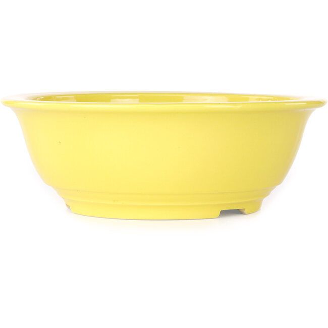 Ronde gele bonsaipot van Juko Koyou - 240 x 240 x 80 mm