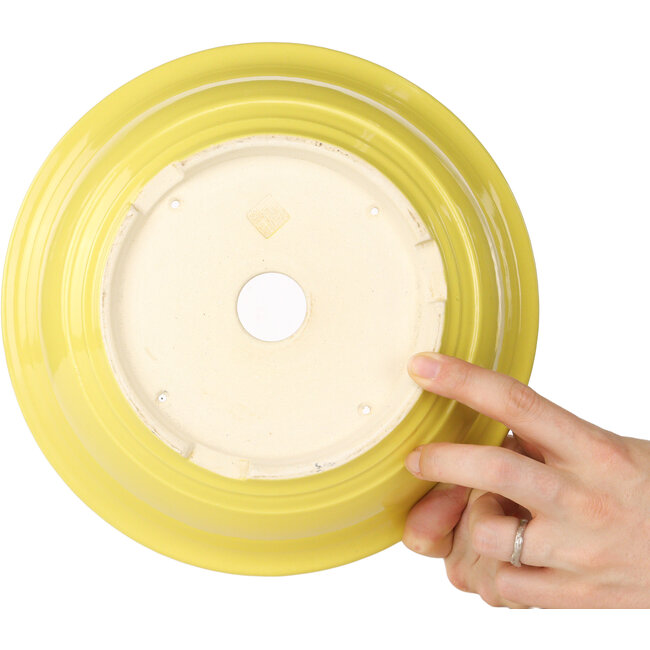 Pot à bonsaï rond jaune de Juko Koyou - 240 x 240 x 80 mm