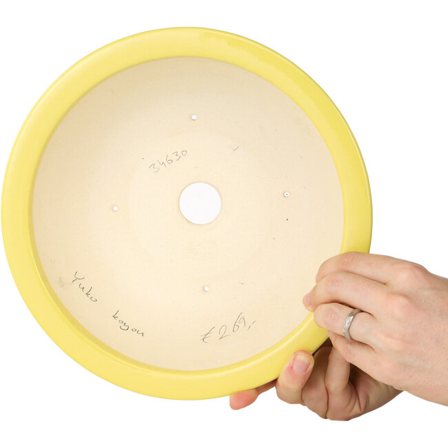 Pot à bonsaï rond jaune de Juko Koyou - 240 x 240 x 80 mm