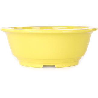Koyou 205 mm  yellow bonsai pot by Juko Koyou, Tokoname, Japan