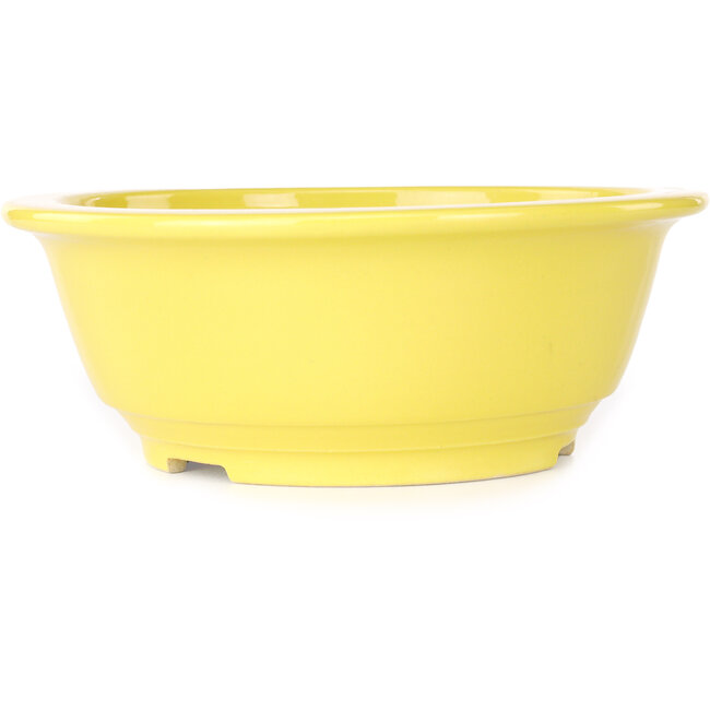 Ronde gele bonsaipot van Juko Koyou - 205 x 205 x 75 mm