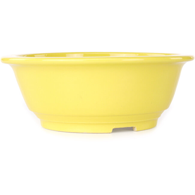 Pot à bonsaï rond jaune de Juko Koyou - 205 x 205 x 75 mm
