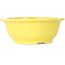 Round yellow bonsai pot by Juko Koyou - 205 x 205 x 75 mm