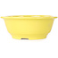 Round yellow bonsai pot by Juko Koyou - 205 x 205 x 75 mm