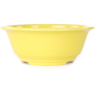 Koyou 175 mm  yellow bonsai pot by Juko Koyou, Tokoname, Japan