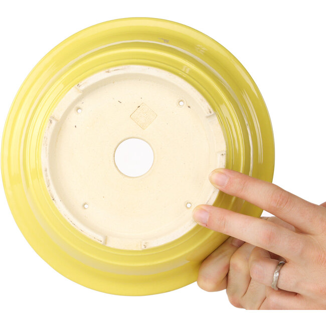 Maceta redonda amarilla para bonsái de Juko Koyou - 205 x 205 x 75 mm