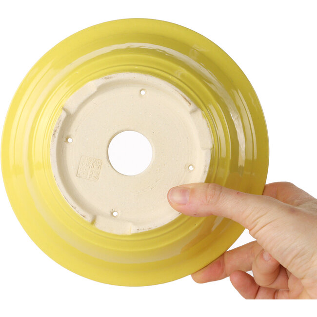 Pot à bonsaï rond jaune de Juko Koyou - 175 x 175 x 70 mm