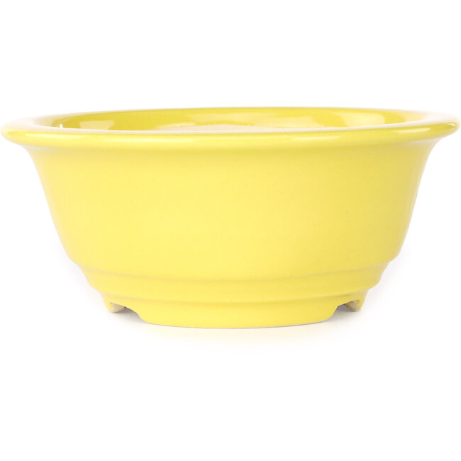 Round yellow bonsai pot by Juko Koyou - 140 x 140 x 60 mm