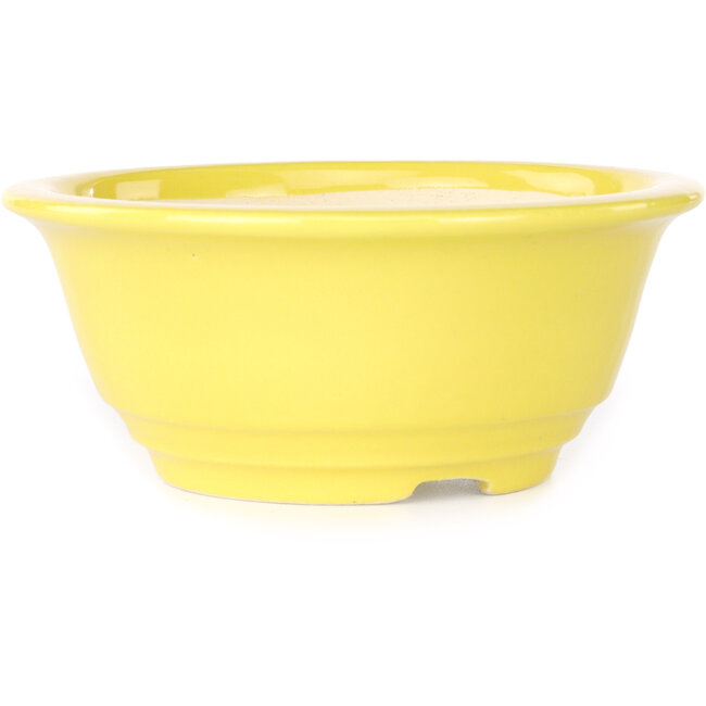 Vaso bonsai rotondo giallo di Juko Koyou - 140 x 140 x 60 mm