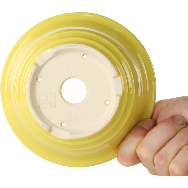 Ronde gele bonsaipot van Juko Koyou - 140 x 140 x 60 mm