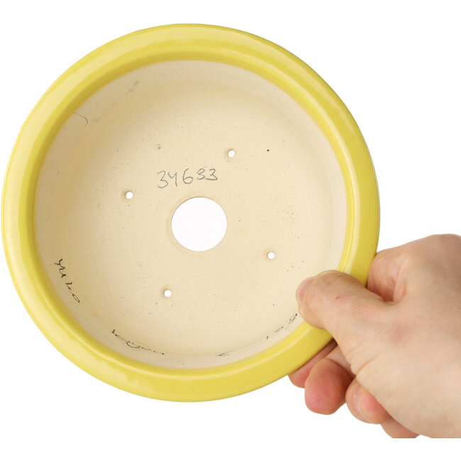 Round yellow bonsai pot by Juko Koyou - 140 x 140 x 60 mm
