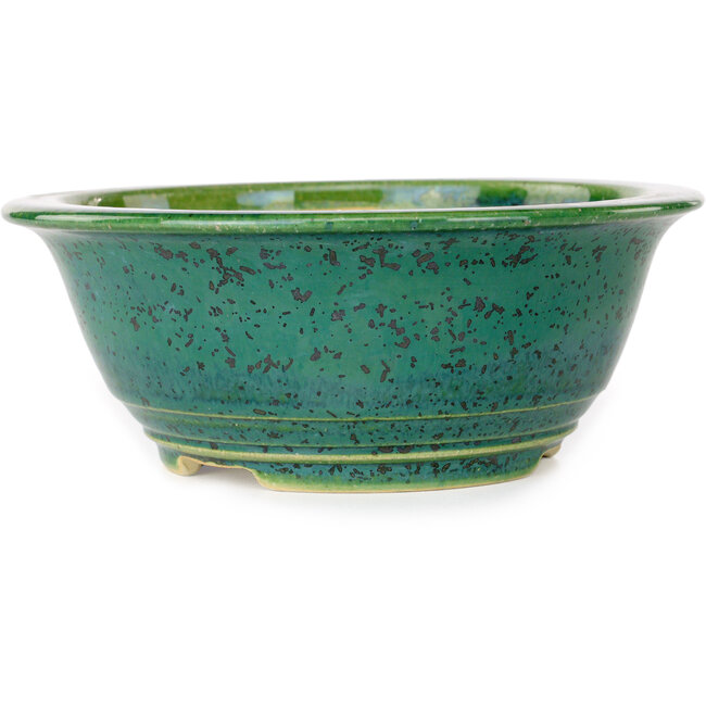 Pot à bonsaï rond vert de Juko Koyou - 170 x 170 x 70 mm