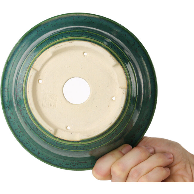 Vaso bonsai rotondo verde di Juko Koyou - 170 x 170 x 70 mm