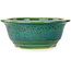 Round green bonsai pot by Aiba Koyou - 165 x 165 x 65 mm