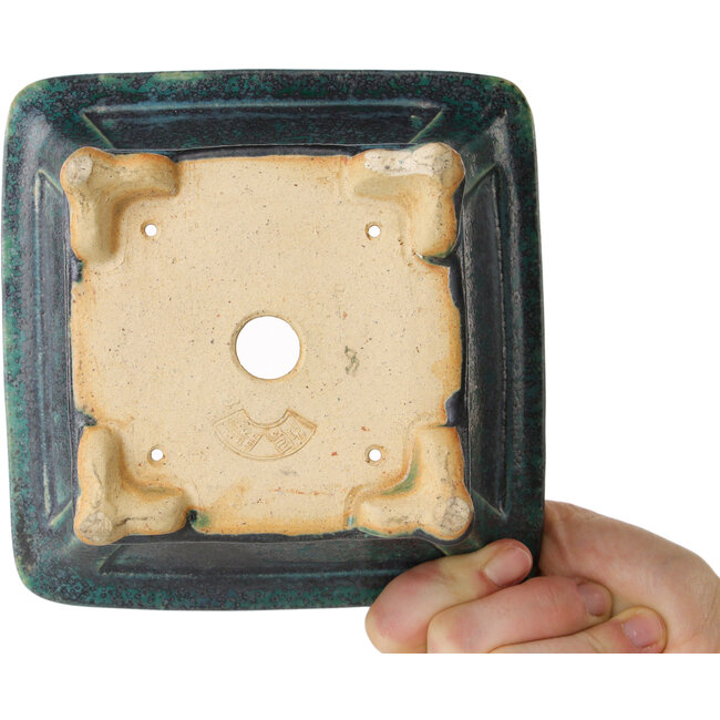 Maceta cuadrada verde para bonsái de Juko Koyou - 152 x 152 x 90 mm