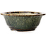 Round brown bonsai pot by Juko Koyou - 180 x 180 x 65 mm