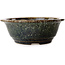 Ronde bruine bonsaipot van Juko Koyou - 206 x 206 x 78 mm